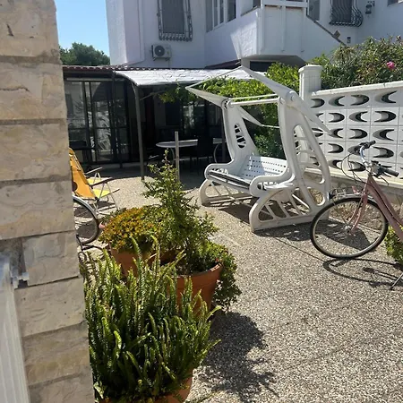 A Casa Di Elisa 펜션 토레 산타 사비나